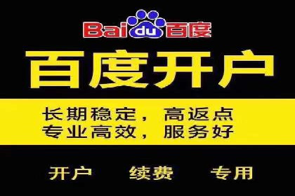 揭秘百度竞价排名：实战案例解析